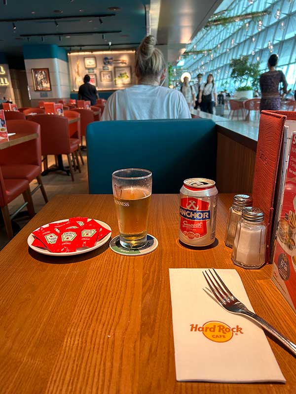 シンガポールを出発して帰国する