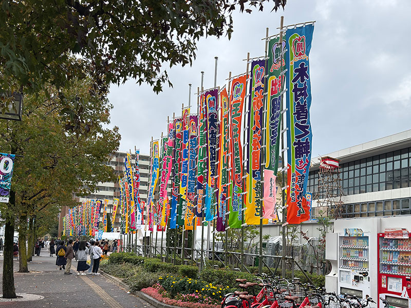 九州場所がはじまるようですね