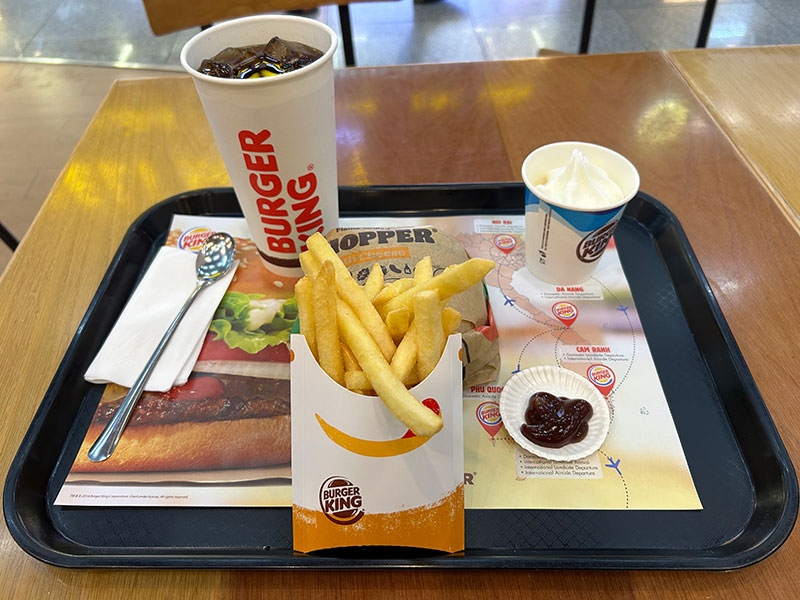 日本に帰国します